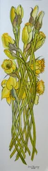 Narcissen