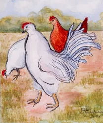 Ralphy, de haan, 2005
