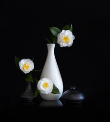 Stilleven met witte camelia’s