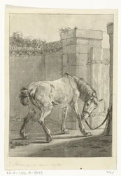 Een paard aan een paal vastgebonden