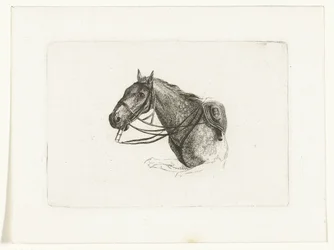 Paardenhoofd naar links