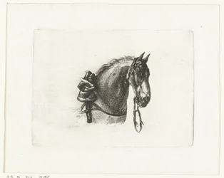 Paardenhoofd naar rechts