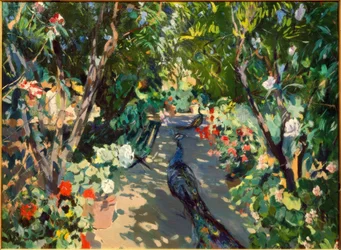 Tuin van Casa Mir