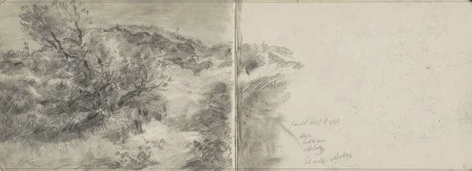 Duinlandschap