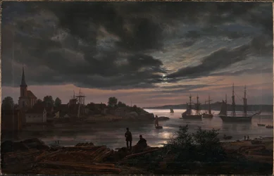 Larvik bij maanlicht