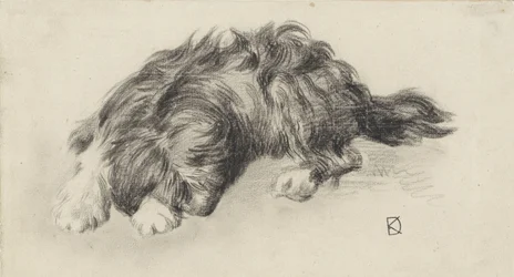 Slapende hond