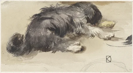 Slapende hond, van achteren gezien