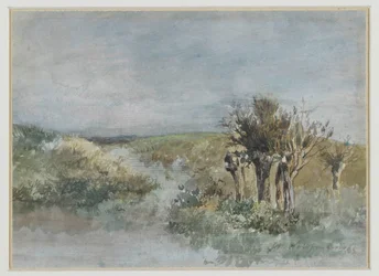 Landschap met knotwilgen langs een sloot