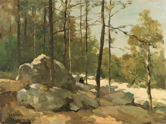 Bosgezicht nabij Barbizon
