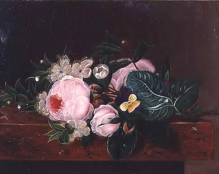 Een Schikking van Bloemen
