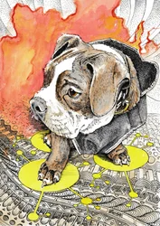 De vurige reis van de puppy