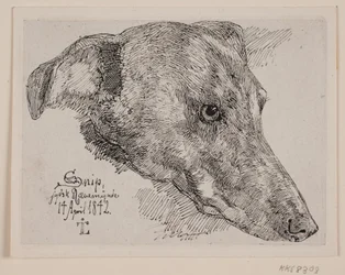 Deens: Hundehoved, Snip