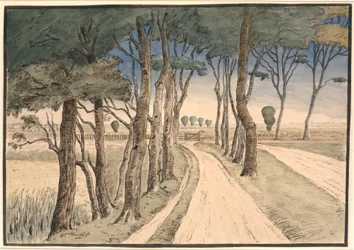 Landschap met weg en bomen op de voorgrond