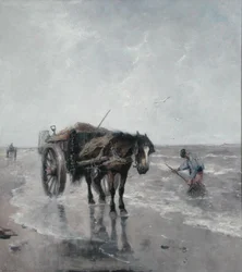 Zee Bries