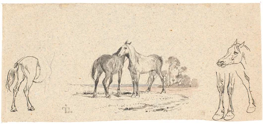 De twee paarden; en studie van paarden