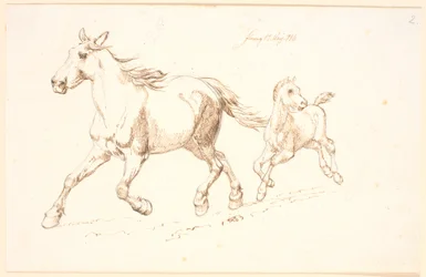 Galopperende merrie met veulen