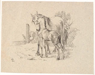 Het paard en het veulen