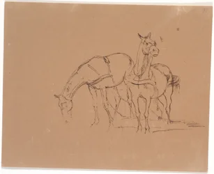 Paardenspan