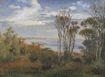 Kolås Bos, Vejrhøj