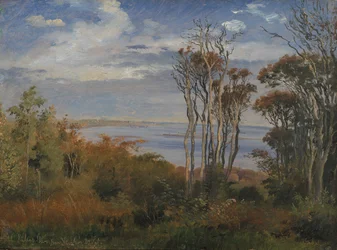 Kolås Bos. Vejrhøj