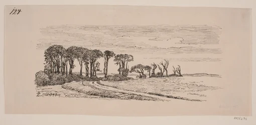 Landschap met een rij bomen