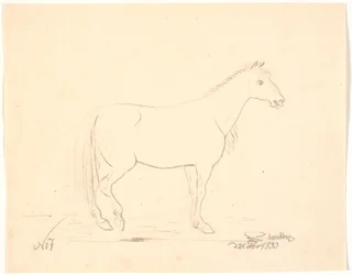 Staand paard in profiel rechts