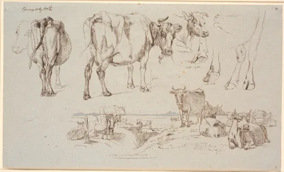 Studieblad van Vognserup. Bovenaan studies van koeien, onderaan landschap met staande en liggende koeien