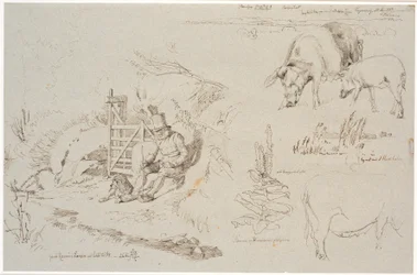 Studieblad van Vognserup. Links een herder (oude Rasmus Larsen) zittend met een hond bij een hek. Rechts een landschapsstudie met plaatsnamen. Hieronder twee varkens. Rechts een studie van riet in een meer. Hieronder een koningskaarsplant en een studie van