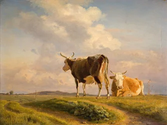 Twee Koeien in een Open Veld