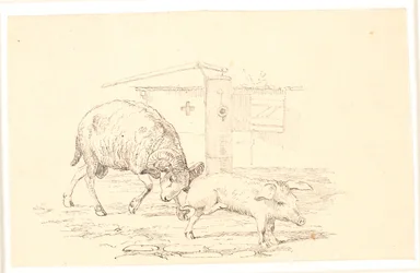 De ram en het varken. Illustratie voor Kaalunds "Fabels voor kinderen". Zie opmerking uit het archiefcatalogus.