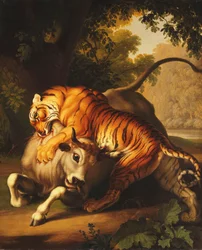 Een tijger die een stier aanvalt, 1785