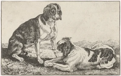 Twee honden