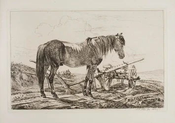 Paard bij een ploeg