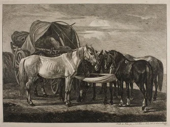 Paarden bij een Hongaarse kar