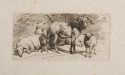 Een ram, drie schapen en een lam
