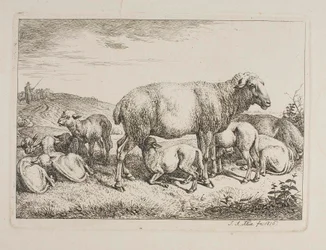 Schapen met lammeren
