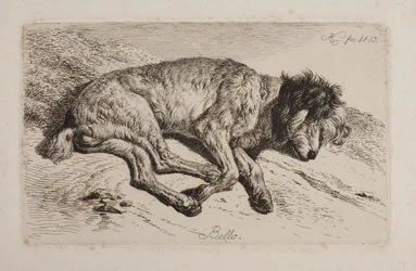 Slapende hond, Bello