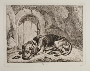 De hond Legere