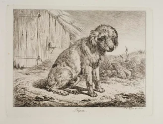 De poedel Fripon