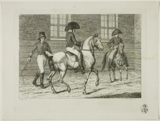Manege en paarden