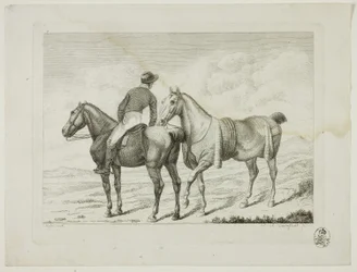 Manege en paarden