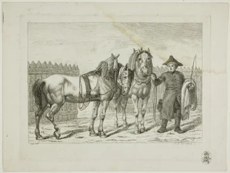Manege en paarden