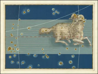 Ram - Johann Bayer