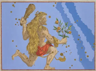 Sterrenbeeld van Hercules Leeuwenvel, uit 