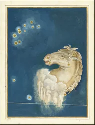 Equuleus - Johann Bayer