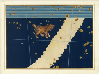 Johann Bayer, Canis Minor
