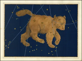 Johann Bayer, Ursa Major