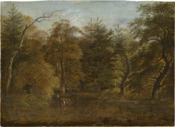 Boslandschap met een vijver