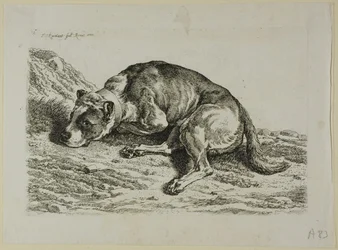Liggende Hond, uit Die Zweite Thierfolge