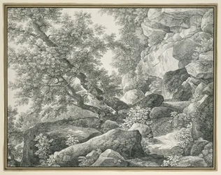 Rotslandschap met bomen